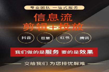 谷歌竞价广告与SEO结合的营销案例解析